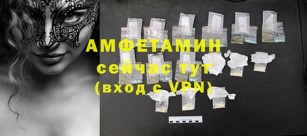 индика Володарск