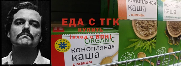 прущие крисы Вяземский