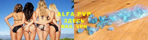 прущие крисы Вяземский