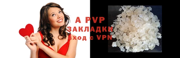 ГАЛЛЮЦИНОГЕННЫЕ ГРИБЫ Вязники