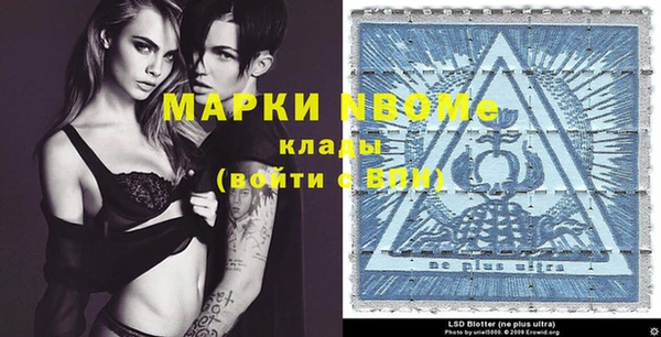 ГАЛЛЮЦИНОГЕННЫЕ ГРИБЫ Вязники