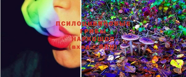 прущие крисы Вяземский