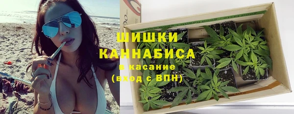 прущие крисы Вяземский