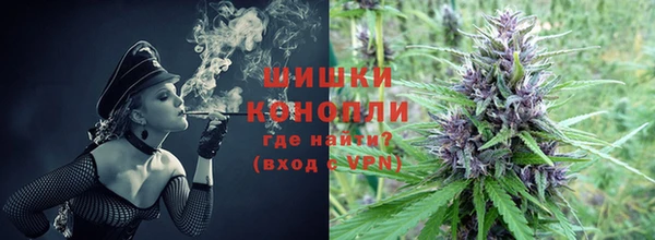 прущие крисы Вяземский