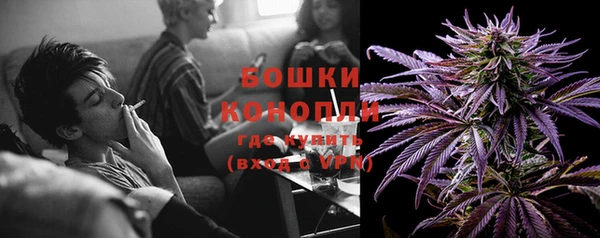 ГАЛЛЮЦИНОГЕННЫЕ ГРИБЫ Вязники