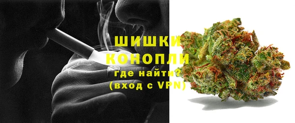 ГАЛЛЮЦИНОГЕННЫЕ ГРИБЫ Вязники