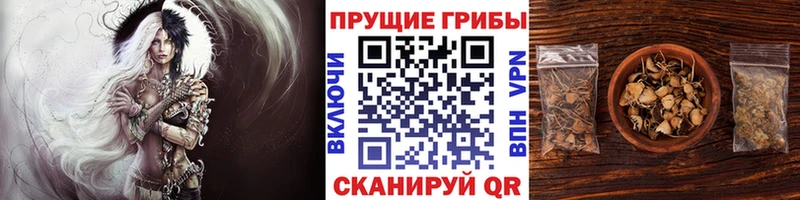 Псилоцибиновые грибы MAGIC MUSHROOMS  Купить закладки  Правдинск 